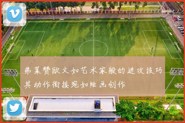 弗莱赞欧文如艺术家般的进攻技巧其动作衔接宛如绘画创作