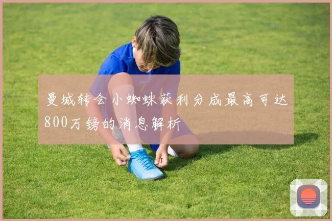 曼城转会小蜘蛛获利分成最高可达800万镑的消息解析